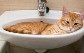 14 вулиць Хмельницького будуть без води сьогодні