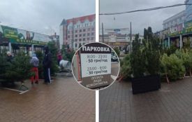 Платну парковку біля «Либідь Плази» перетворили на ялинковий ярмарок