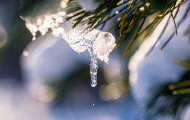 У понеділок — ожеледиця, на вихідні — морози: прогноз погоди у Хмельницькому на тиждень