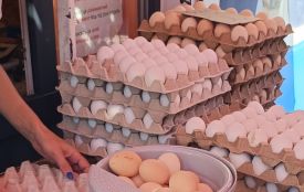Курячі яйця здешевшали: які ціни на прилавках Хмельницького