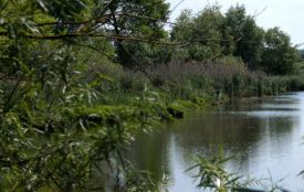 У державну власність повернули землі, які незаконно передали Волочиській міській раді