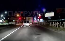 На Хмельниччині оштрафували водія DAF — він проїхав на червоне