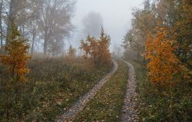 На Хмельниччині прогнозують погіршення погоди 16 вересня