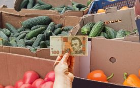 Овочі дешевшають: які ціни на огірки і помідори у Хмельницькому