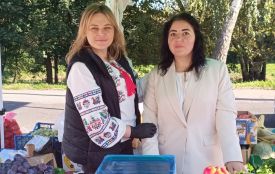Ярмарок на Прибузькій: що продають та які ціни (РЕПОРТАЖ)
