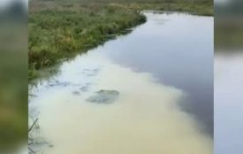 На Хмельниччині виявили забруднення у п’яти річках області