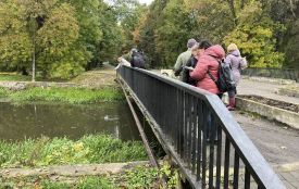 Ваврищук розповів, як рятуватимуть річку Плоска після забруднення