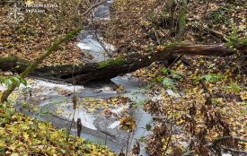 На Хмельниччині молокозавод забруднював річку Калюс неочищеними стоками — збитки майже 15 млн грн