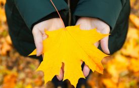 Якою погодою почнеться листопад: прогноз для Хмельниччини