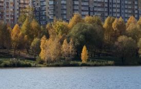 Туман і дощ: якою буде погода в Хмельницькому 3-7 листопада