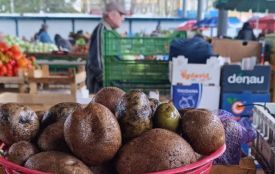 Ціни на картоплю: де дешевше купувати у Хмельницькому