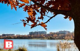 Антициклон принесе на Хмельниччину потепління: прогноз на 7 листопада