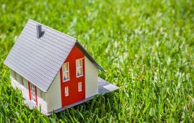 Замість лісу – забудова. Посадовицю з Хмельницького підозрюють у зміні даних кадастру