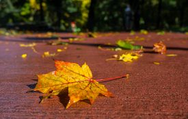 Погода зміниться. Прогноз на 14 листопада для Хмельниччини