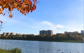 Пануватиме антициклон. Погода на 15 листопада для Хмельниччини