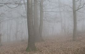 Насувається холодний фронт: погода на 16 листопада для Хмельниччини