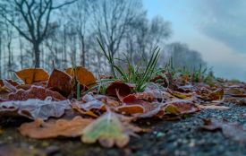 Насуваються морози: прогноз погоди у Хмельницькому на тиждень