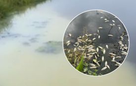 Хмельничан закликають обговорити план порятунку Плоскої та Південного Бугу