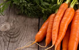 Саджаємо взимку: яке насіння моркви купити для вирощування в квартирі чи будинку (новини компаній)