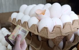Курячі яйця дорожчають. Порівнюємо ціни у Хмельницькому