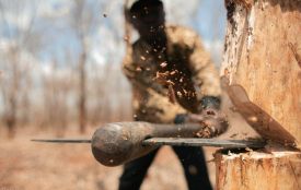 Житель Хмельниччини відмовився платити штраф за незаконну рубку дерев. Був суд