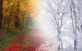 Яким буде останній день осені на Хмельниччині: прогноз погоди