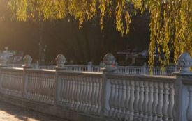 Якими будуть перші дні зими у Хмельницькому: прогноз погоди