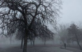 Якою буде погода у Хмельницькому та області завтра, 3 грудня