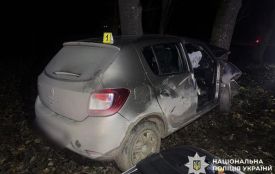 Водій вʼїхав у дерево і загинув: подробиці ДТП під поліції Хмельниччини