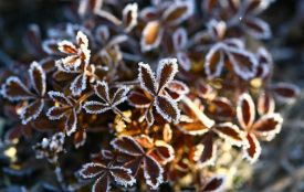 Якою буде погода у Хмельницькому та області завтра, 7 грудня