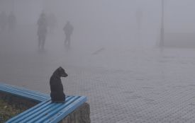 На Хмельниччині — місцями дощ: прогноз на 9 грудня