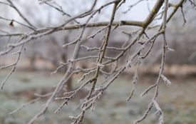 Потеплішає: прогноз на 17 грудня для Хмельниччини