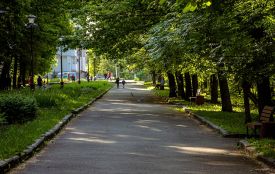 Туалет за 550 тисяч у парку Чекмана. Засудили юристку комунального підприємства