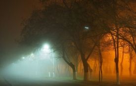 Якою буде погода на Хмельниччині у неділю, 21 грудня