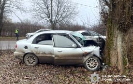 У Старокостянтинові легковик влетів у дерево: постраждалих госпіталізували