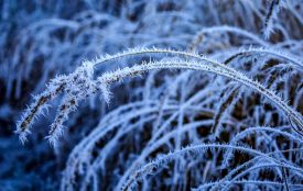 Суне різке похолодання: прогноз для Хмельниччини на 23 грудня