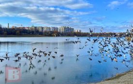 На Хмельниччину насувається похолодання: синоптик попередив про дощ і мокрий сніг