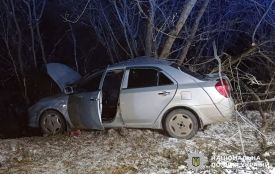 Смертельна аварія на Хмельниччині: автівка врізалась у дерево