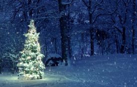 Погода ускладниться: на Хмельниччині очікують ожеледицю та сніг