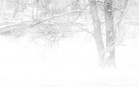 Через погоду на Хмельниччині фіксують аварійні відключення світла