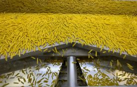 «Тая» вже не та що раніше: що насправді відбувається за стінами Хмельницької макаронної фабрики (новини компаній)