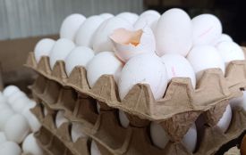 У Хмельницькому подорожчали яйця: де найдешевші