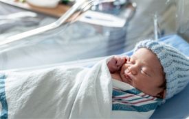 Скільки дітей народилося в Хмельницькому у 2025-му році (ІНФОГРАФІКА)
