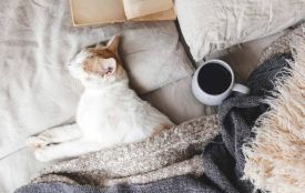 З морозом до -9: якою буде неділя на Хмельниччині