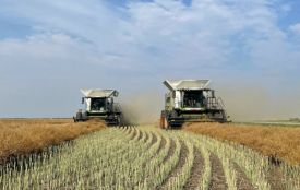 Як оцінити ефективність точного землеробства через реальні цифри (новини компаній)