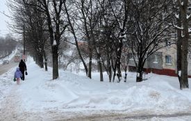 Дистанційка чи очне навчання: як працюватимуть школи Хмельницького з 12 січня