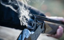 За лося — 130 тисяч гривень: як на Хмельниччині карають за полювання