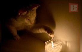 На 65 вулицях Хмельницького планово відключатимуть світло 21 січня (АДРЕСИ)