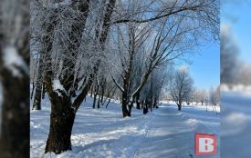 Потепліє до нуля: прогноз погоди для Хмельниччини на 25 січня