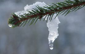 Після відлиги на Хмельниччині знову прогнозують мороз